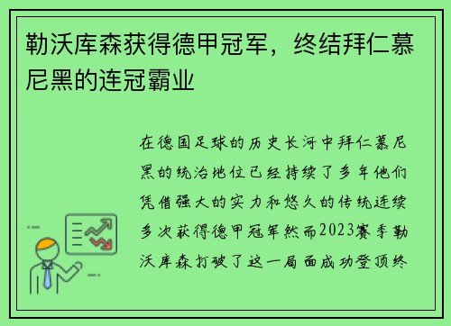 勒沃库森获得德甲冠军，终结拜仁慕尼黑的连冠霸业